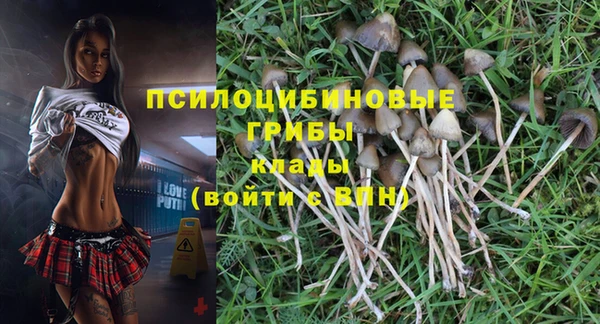 метадон Арсеньев