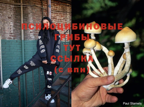 кокаин Армянск