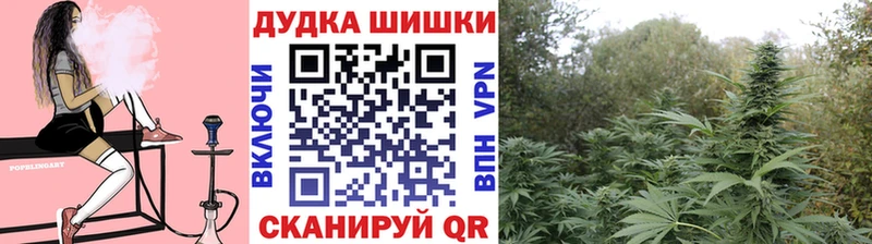 где купить наркоту  Верхняя Тура  Марихуана сатива 